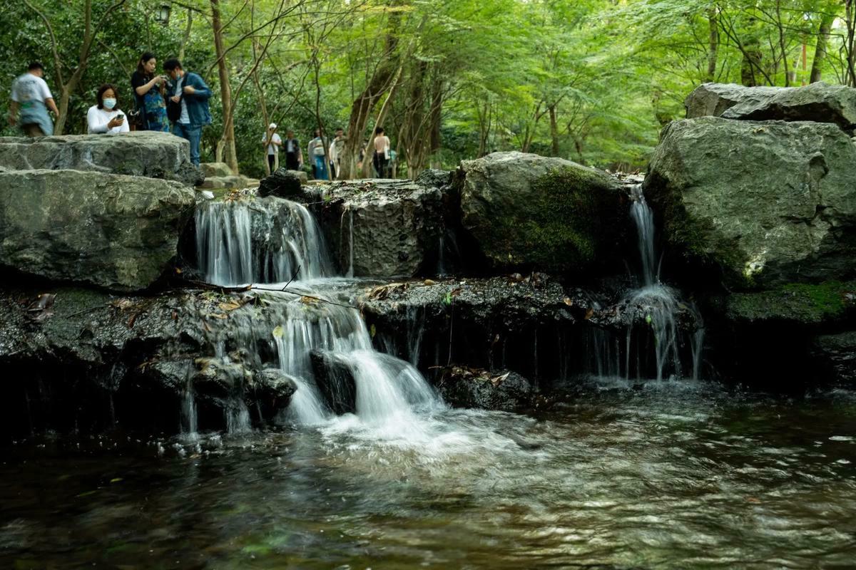 Nine-Greeks-Meandering-Through-a-Misty-Forest-Hangzhou